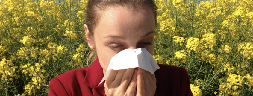 Natural Remedies for Allergy Relief