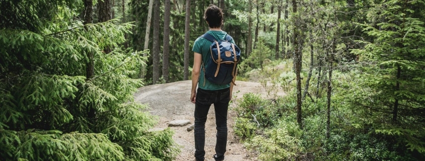 When taking a walk in nature, you experience the benefit of forest bathing.