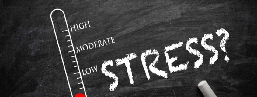 The past many months have shown us with a variety of stressful situations. Take inventory of your tool box to pursue wellness.