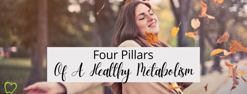 4 Pillars Of A Healthy Metabolism