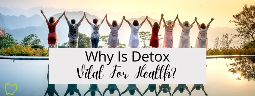 Why Is Detox Vital For Health?