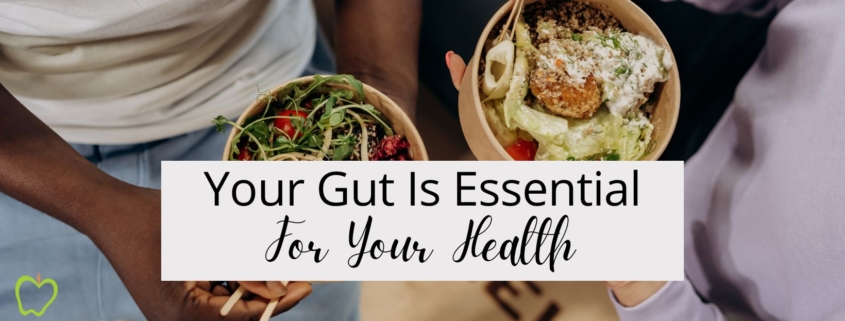 Your Gut Is Essential For Your Health