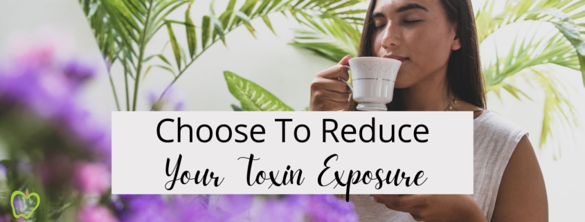 Choose To Reduce Your Toxin Exposure