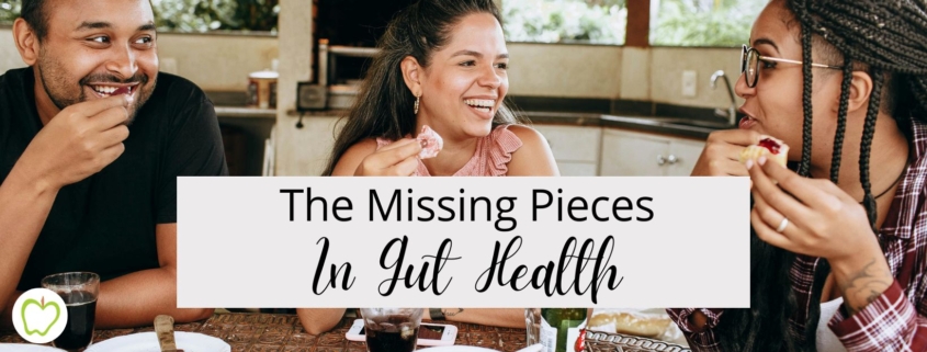The Missing Pieces In Gut Health
