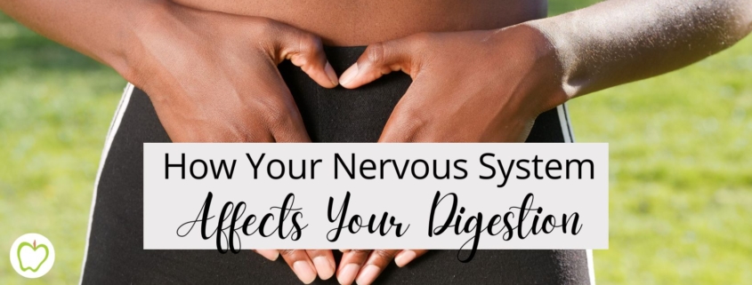 How Your Nervous System Affects Your Digestion